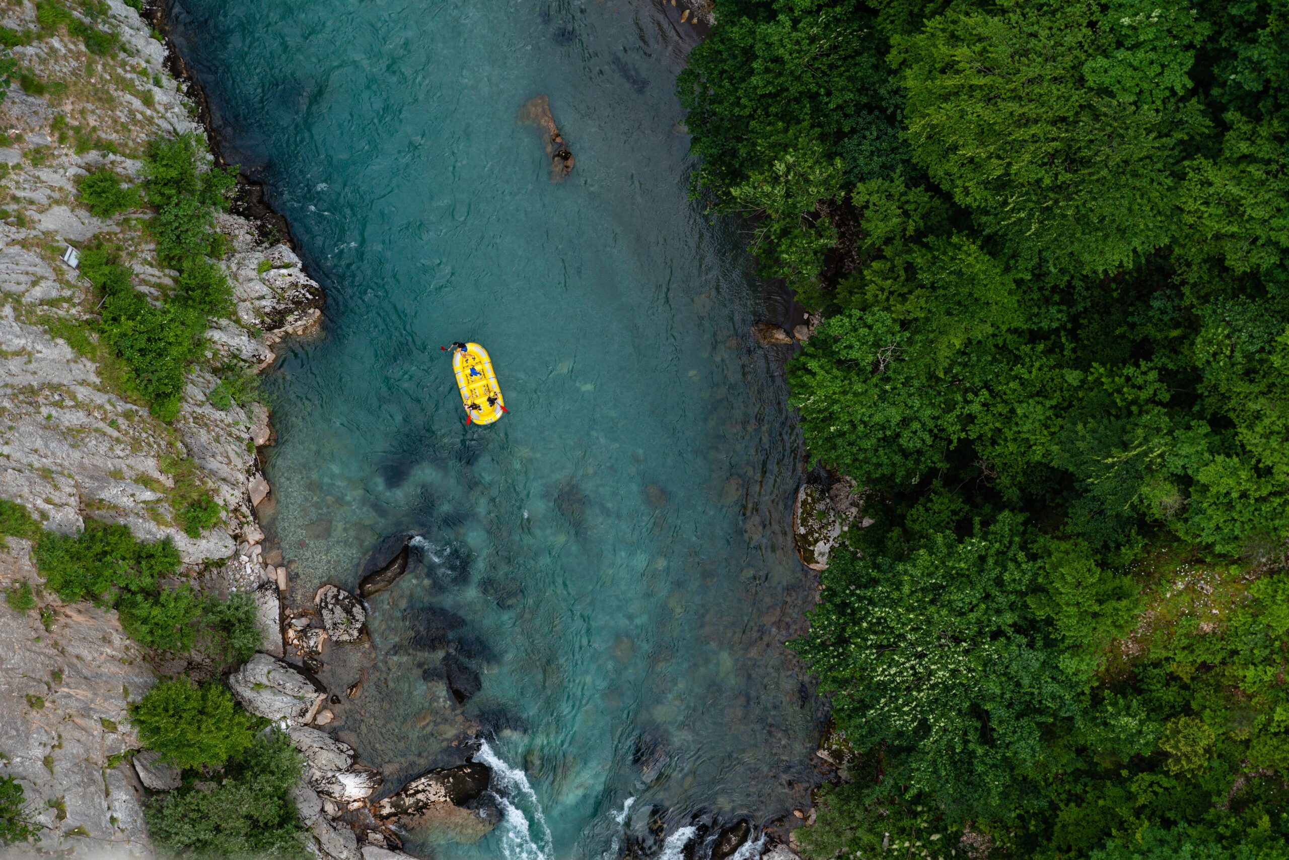 top-view-kayak-river-captured-daytime-forest-min